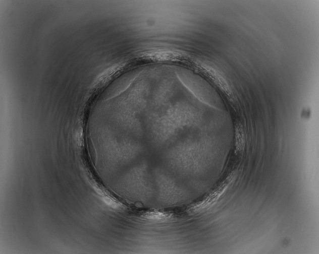 X0000101160453200807111032