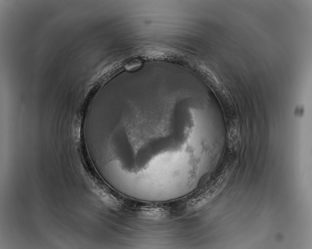 X0000101160454200807111032