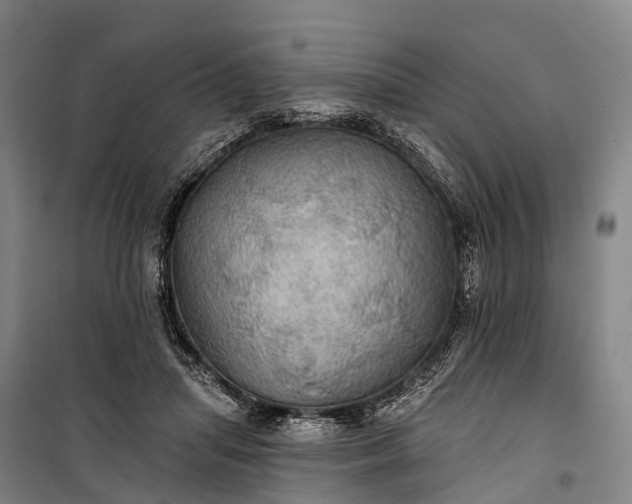 X0000101160455200807111032