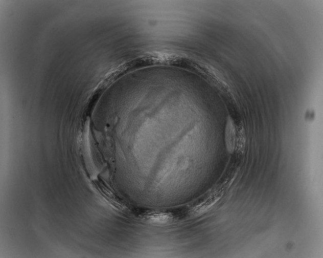 X0000101160456200807111032