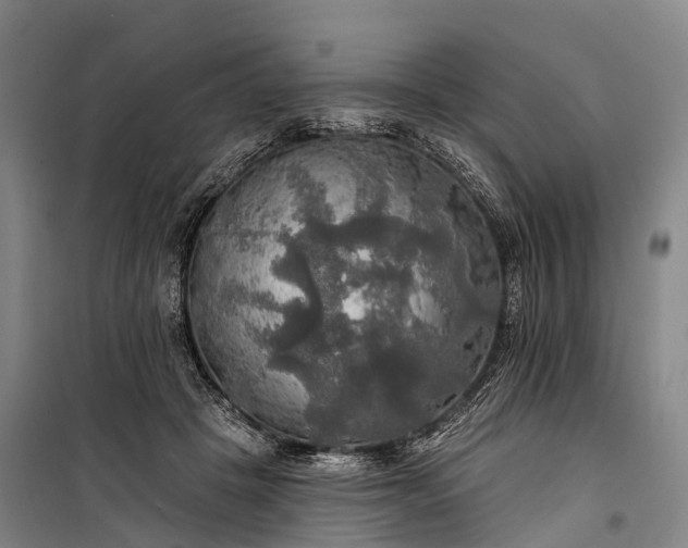 X0000101160457200807111032