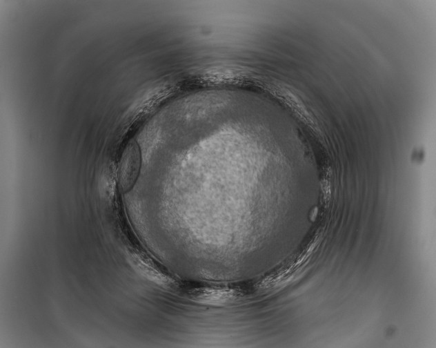 X0000101160458200807111032