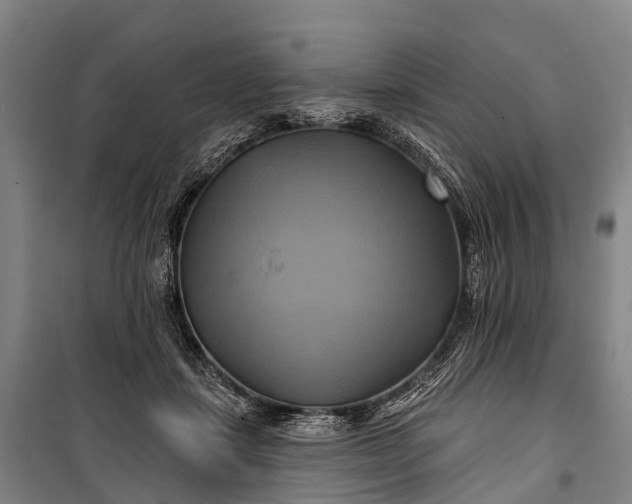 X0000101160459200807111032