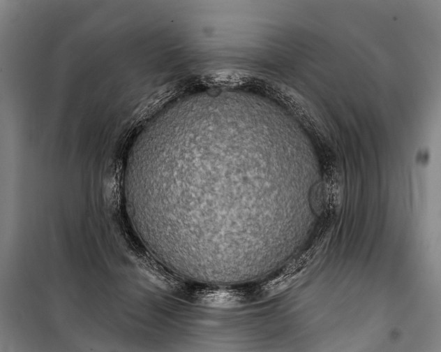 X0000101160460200807111032