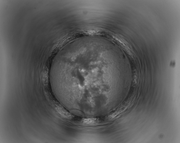 X0000101160461200807111032