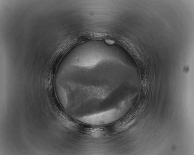 X0000101160462200807111033