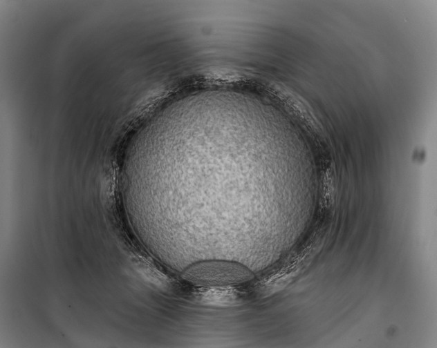 X0000101160463200807111033