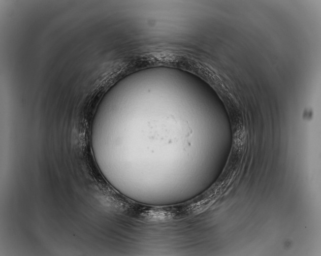 X0000101160464200807111033