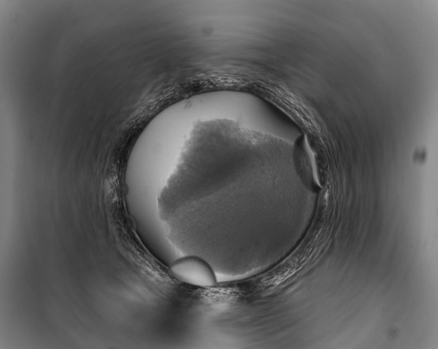 X0000101160465200807111033