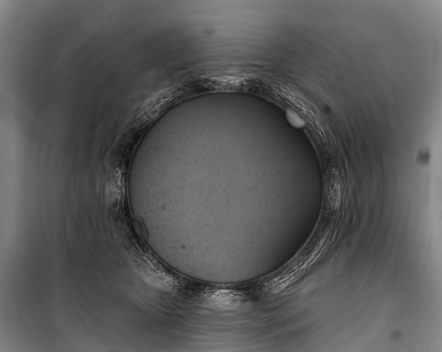 X0000101160467200807111033