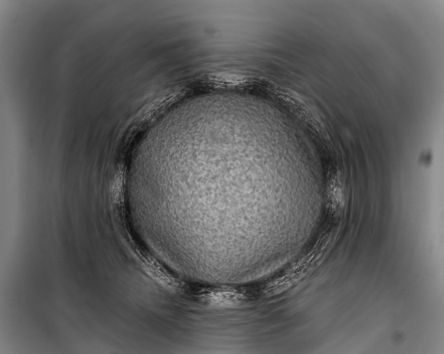 X0000101160468200807111033