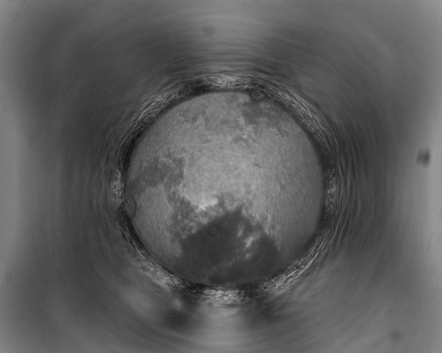 X0000101160469200807111033