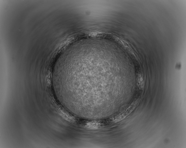 X0000101160470200807111033