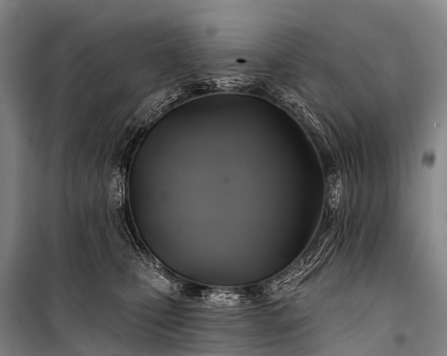 X0000101160471200807111033