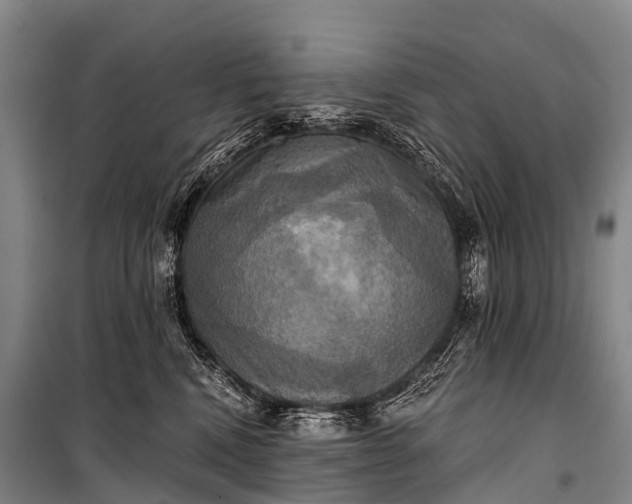 X0000101160472200807111033