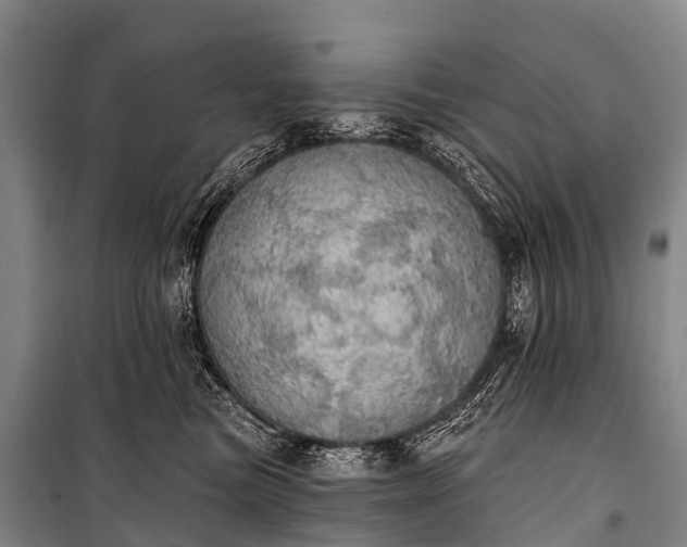 X0000101160473200807111033