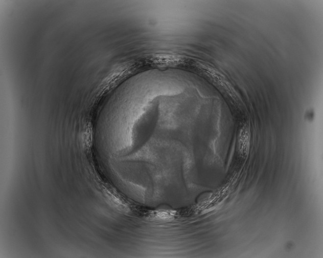 X0000101160474200807111033