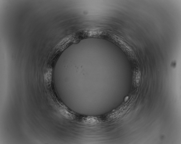 X0000101160475200807111033