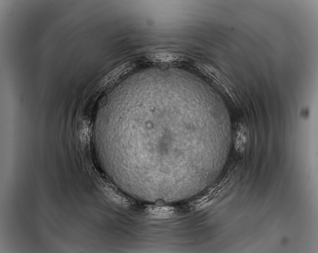 X0000101160476200807111033