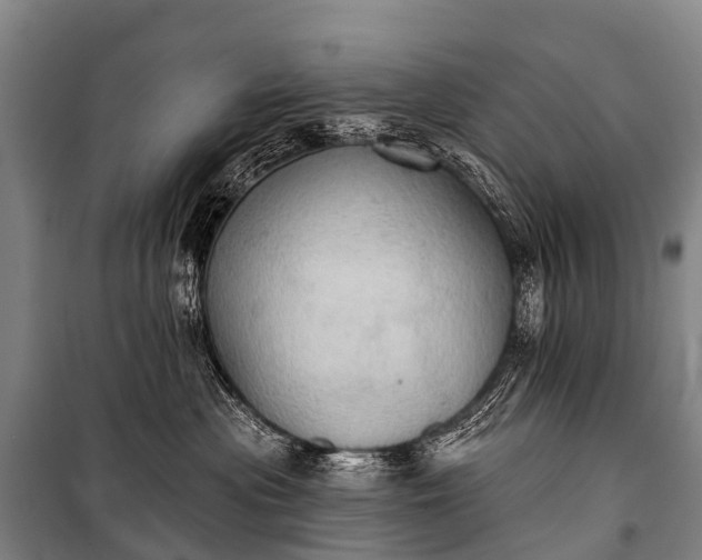 X0000101160477200807111033