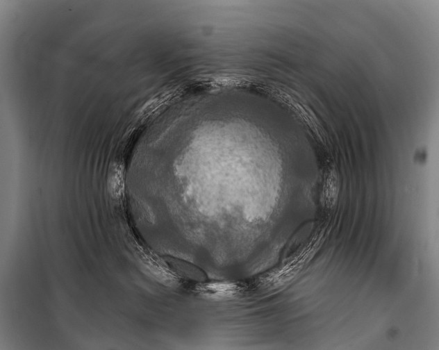 X0000101160478200807111033