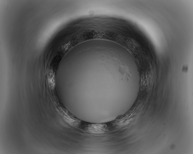 X0000101160479200807111033