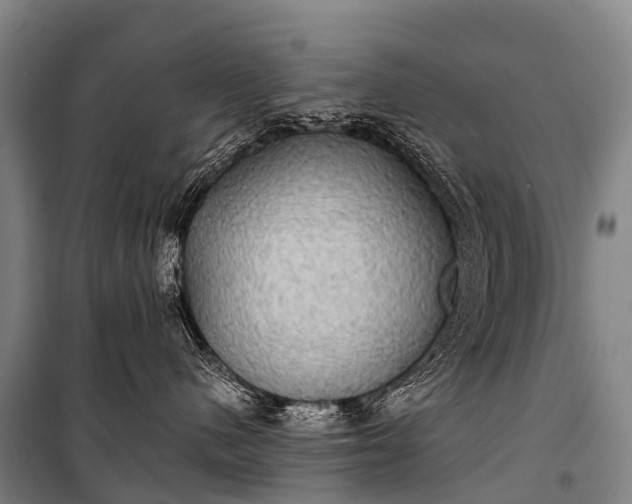 X0000101160480200807111033