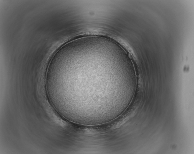 X0000101160481200807111032