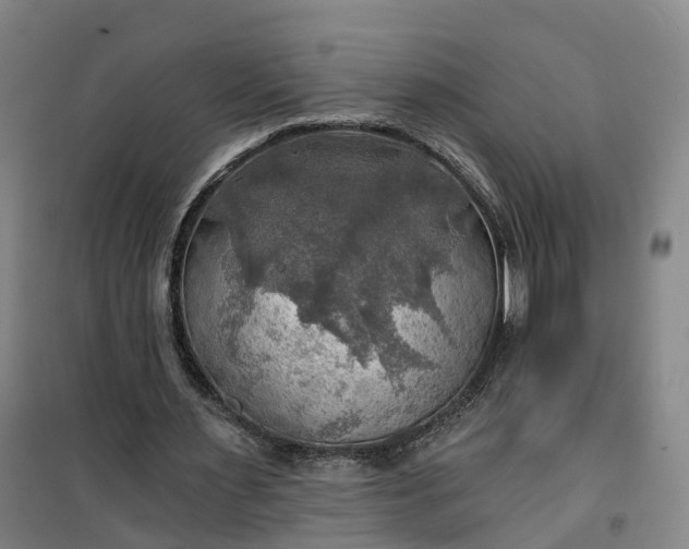 X0000101160483200807111032