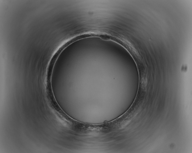 X0000101160484200807111032