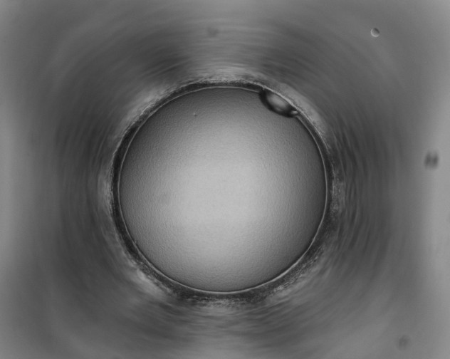 X0000101160485200807111032