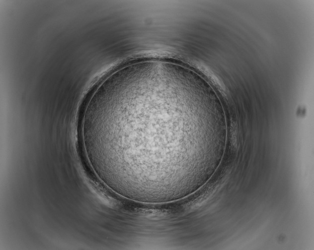 X0000101160486200807111032