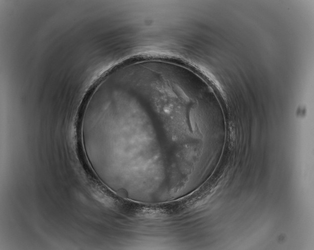 X0000101160487200807111032