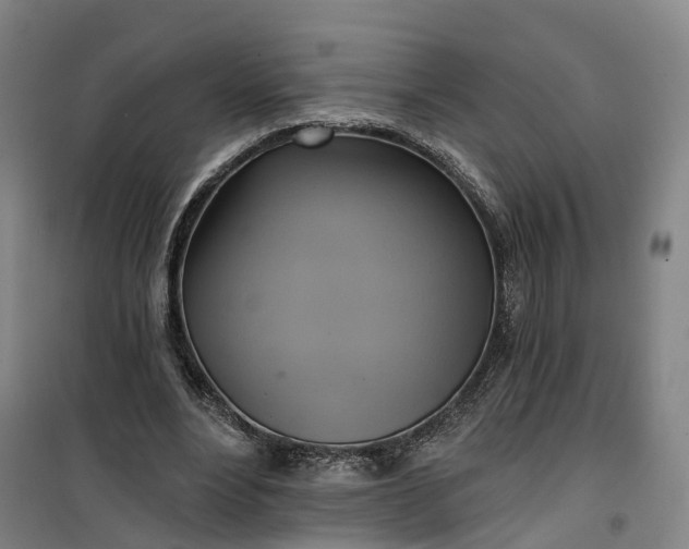 X0000101160488200807111032