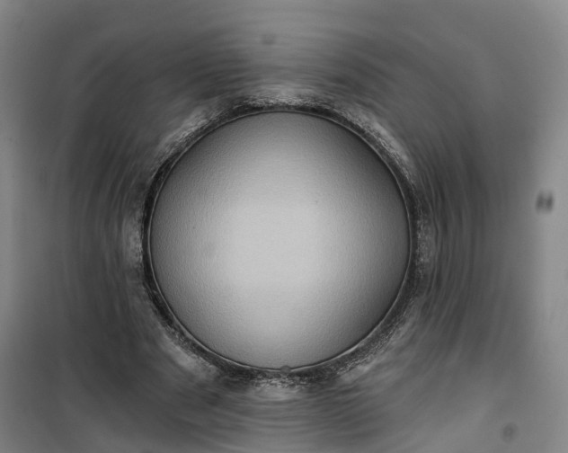 X0000101160489200807111032