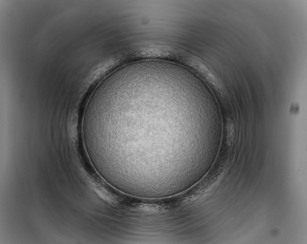 X0000101160490200807111032