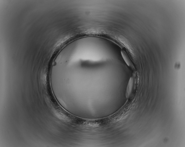 X0000101160491200807111032