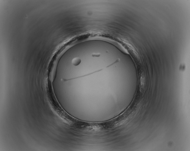 X0000101160492200807111032