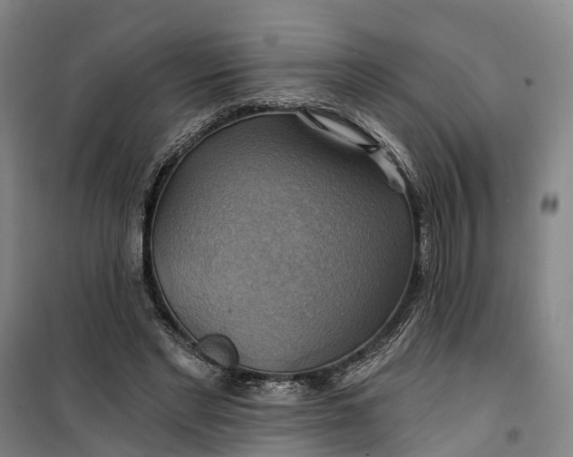 X0000101160493200807111032