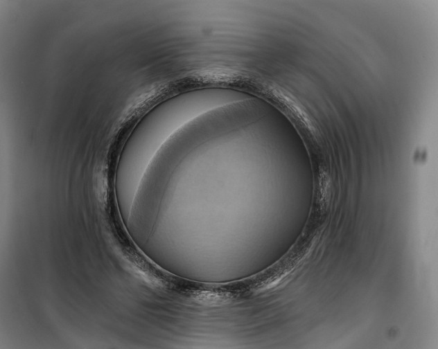 X0000101160494200807111032