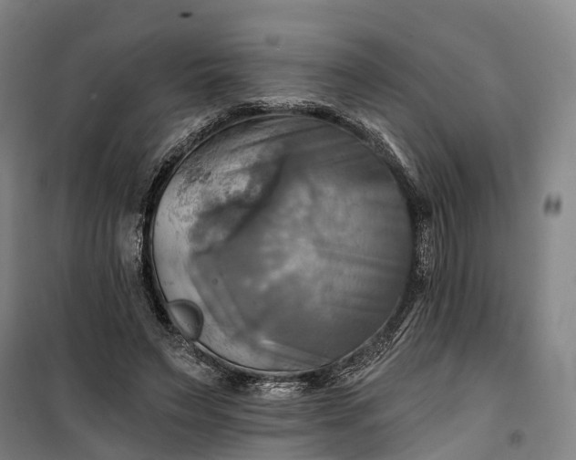 X0000101160495200807111032