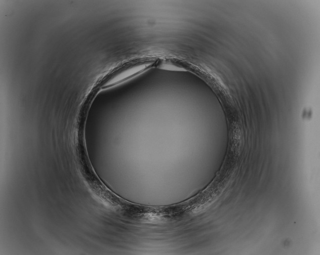 X0000101160496200807111032