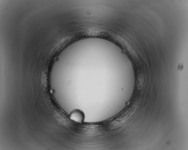 X0000101160497200807111032