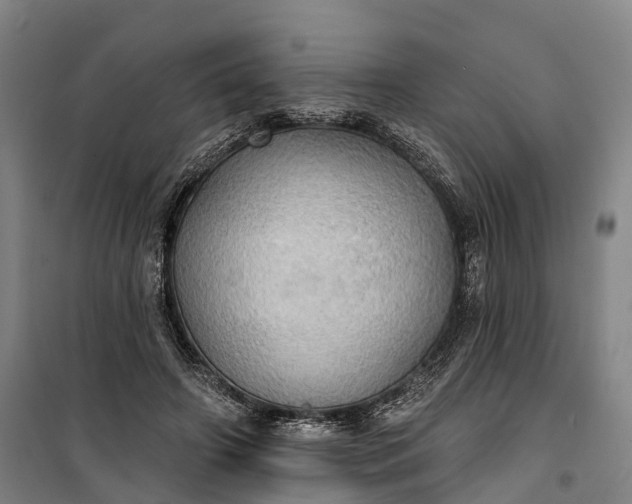 X0000101160498200807111032