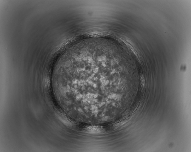 X0000101160499200807111032