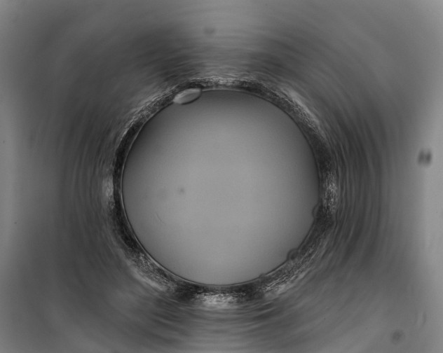 X0000101160500200807111032