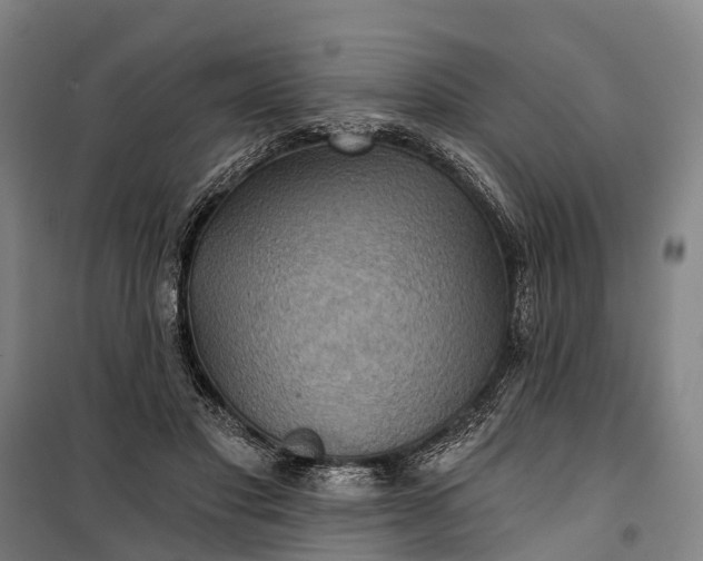 X0000101160501200807111032