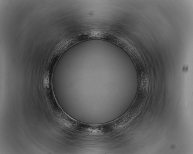 X0000101160502200807111032