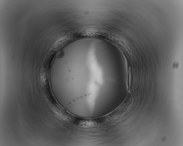 X0000101160503200807111032