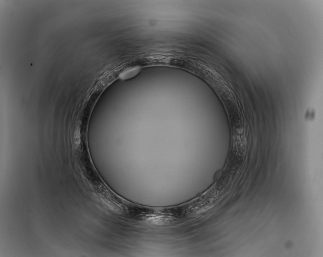 X0000101160504200807111032